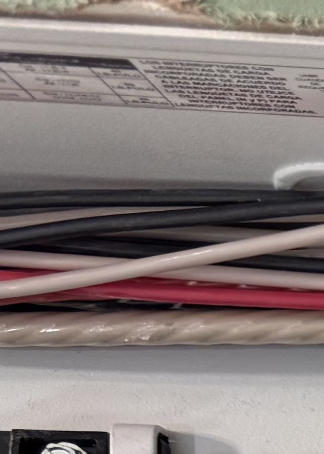 Service feeder conductors neatly routed inside an electrical panel